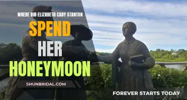 Elizabeth Cady Stanton's Romantic Getaway: A Honeymoon Mystery