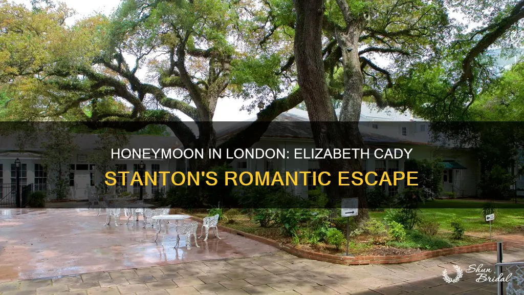 where did elizabeth cady stanton spend her honeymoon