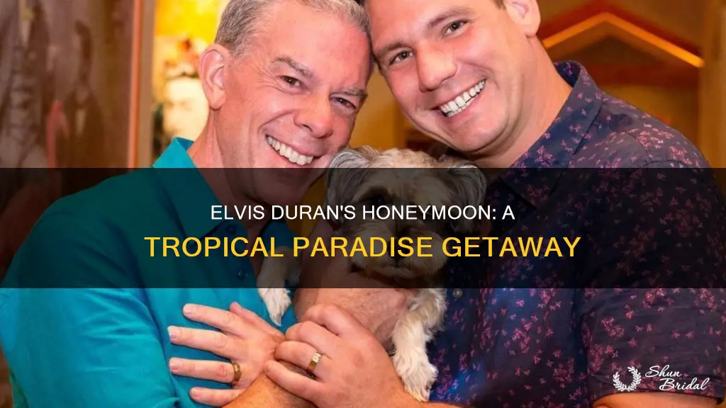 where did elvis duran go on his honeymoon