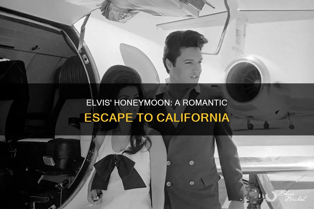 where did elvis go on his honeymoon