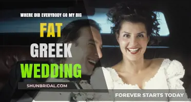 Where Did Everybody Go? Revisiting My Big Fat Greek Wedding
