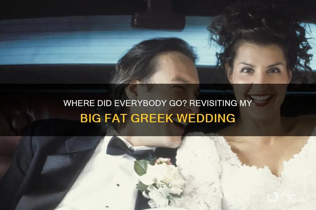 where did everybody go my big fat greek wedding
