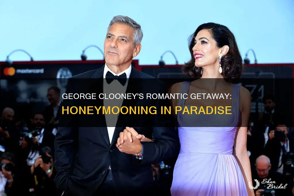 where did george clooney honeymoon