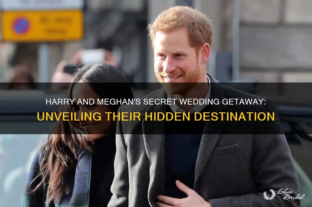 where did harry and megahn go during the wedding