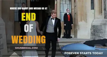 Harry and Meghan's Post-Wedding Escape: Unveiling Their Secret Destination