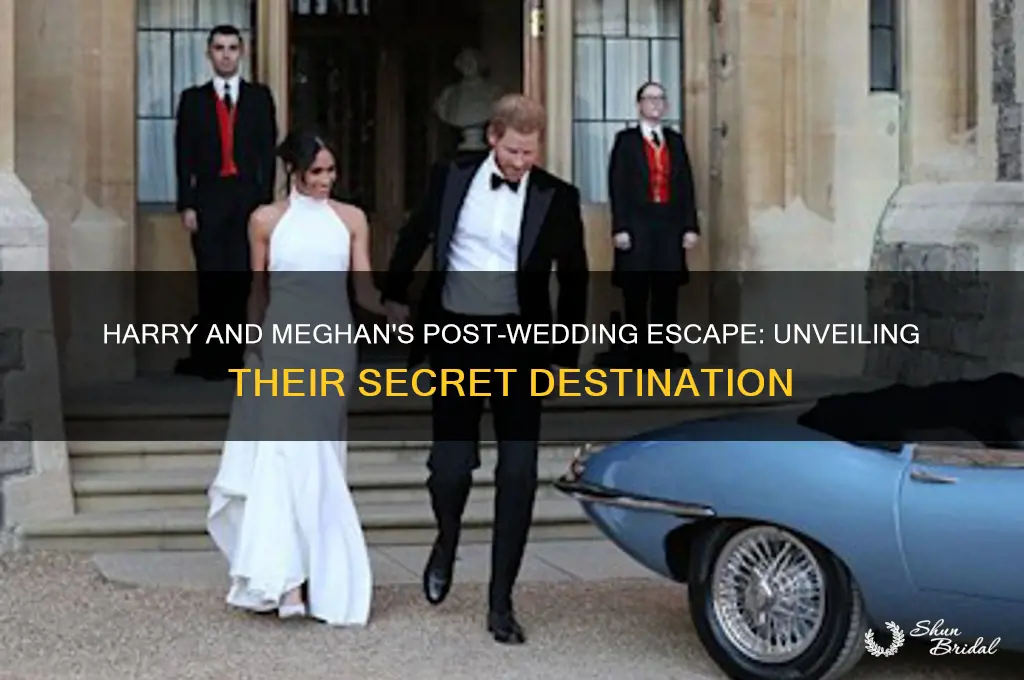 where did harry and megan go at end of wedding