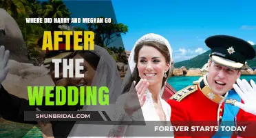 Harry and Meghan's Post-Wedding Journey: Destinations and New Beginnings