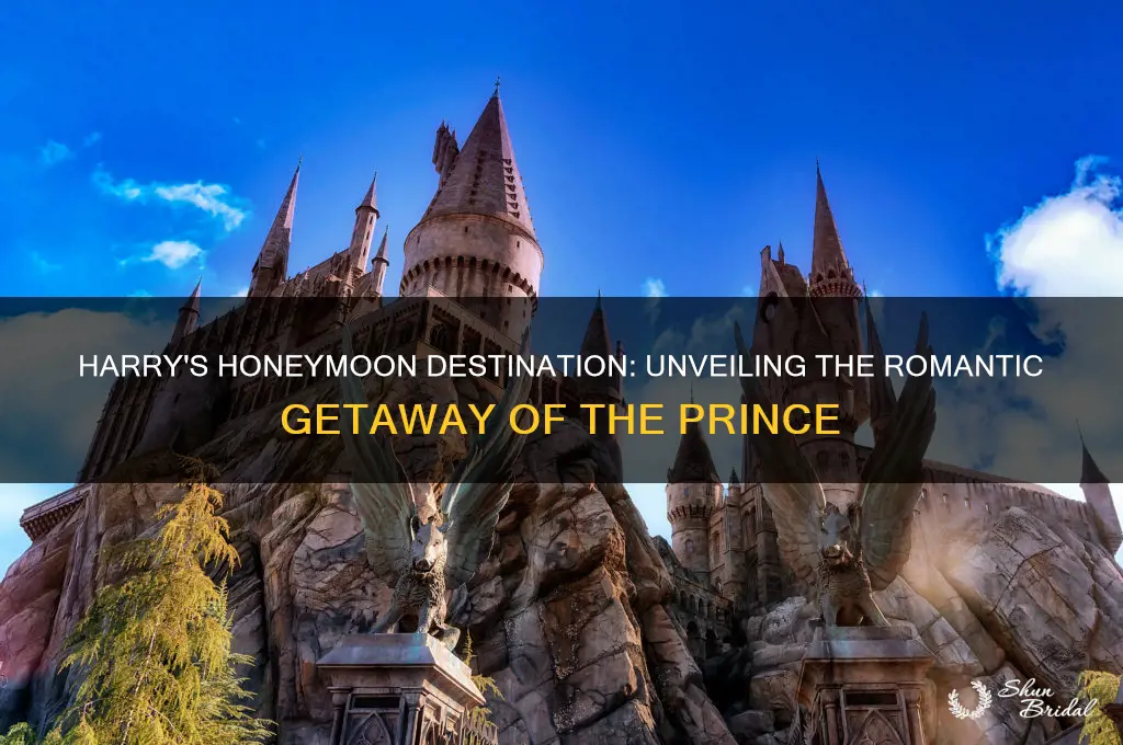where did harry go for his honeymoon
