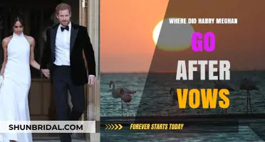 Harry and Meghan's Post-Wedding Escape: Where Did They Go?