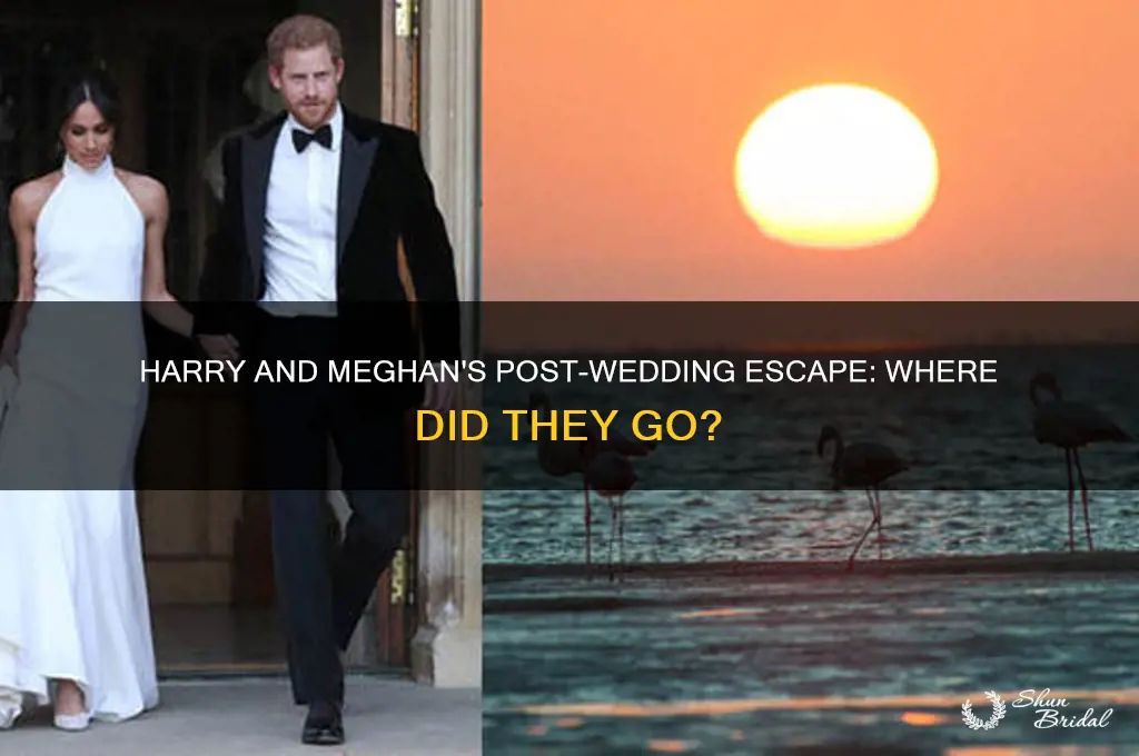 where did harry meghan go after vows