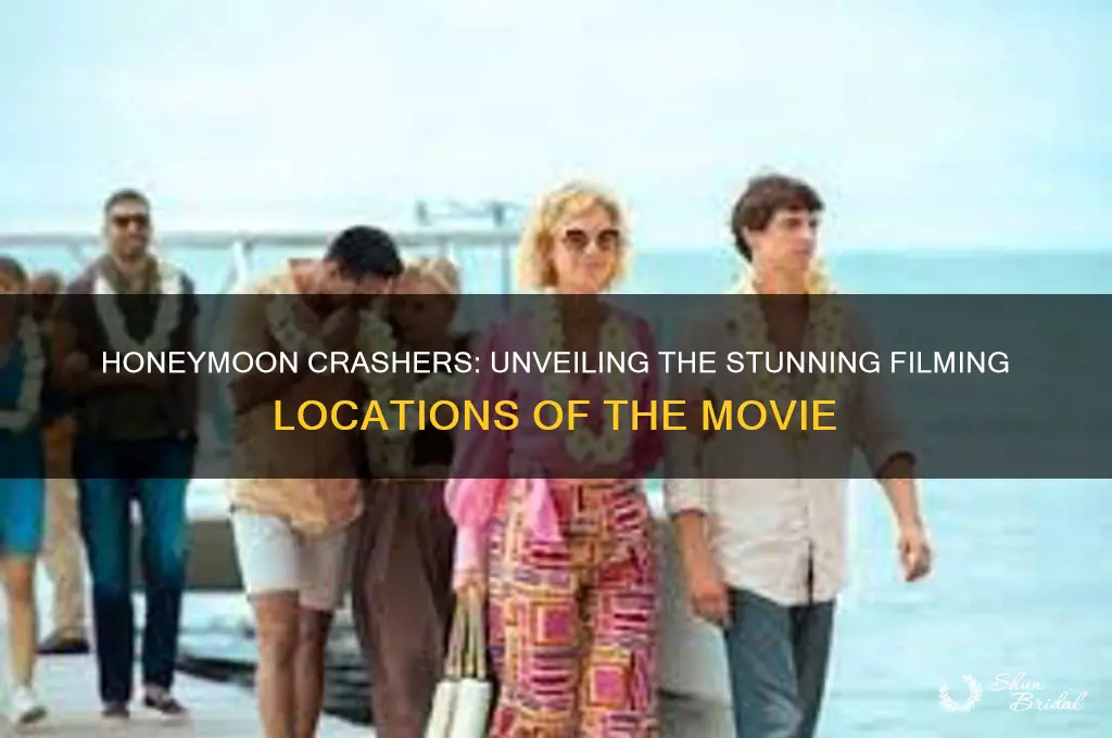 where did honeymoon crasher take place