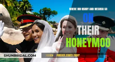 Honeymoon Adventure: Harry and Meghan's Secret Getaway