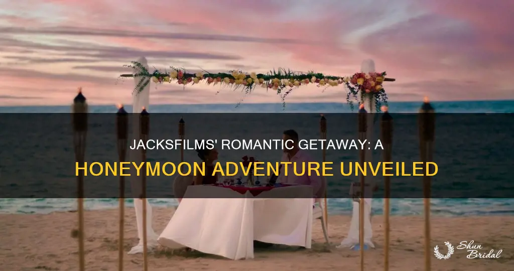 where did jacksfilms go on his honeymoon