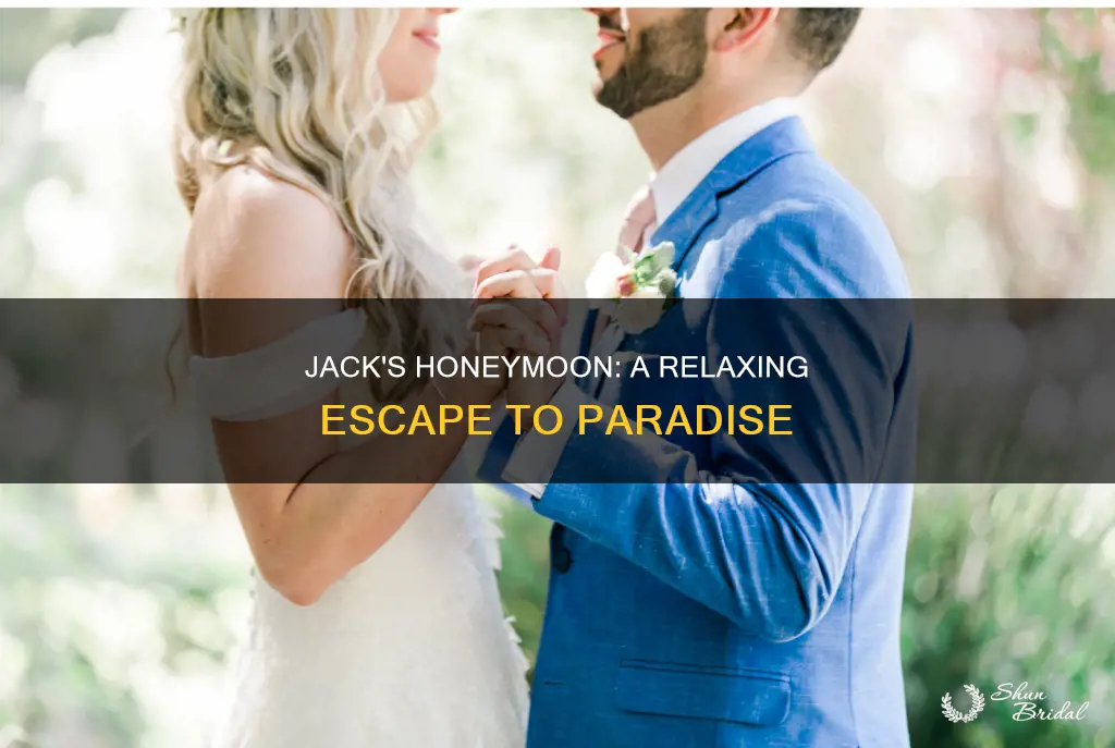 where did jacksfilms go on his honeymoon