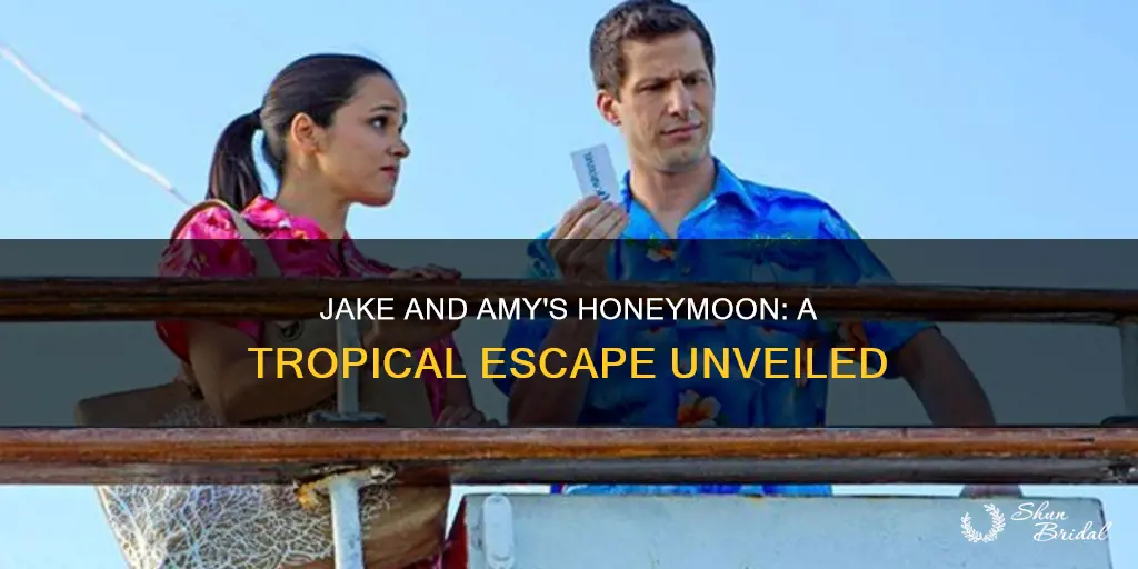 where did jake and amy go on their honeymoon