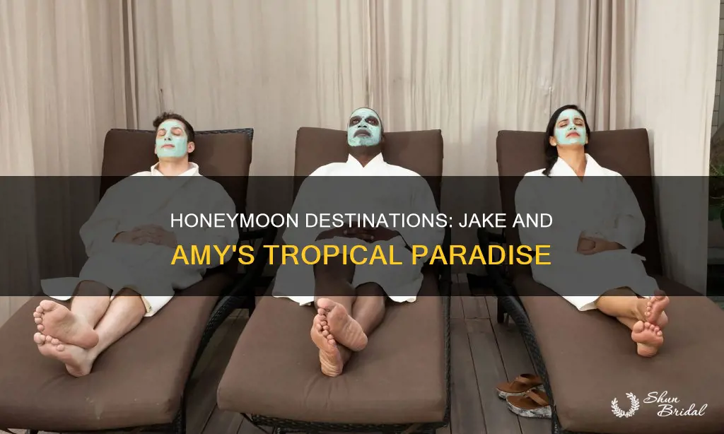 where did jake and amy go on their honeymoon
