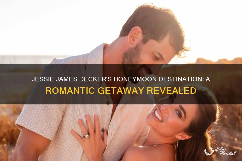where did jessie james decker go on her honeymoon