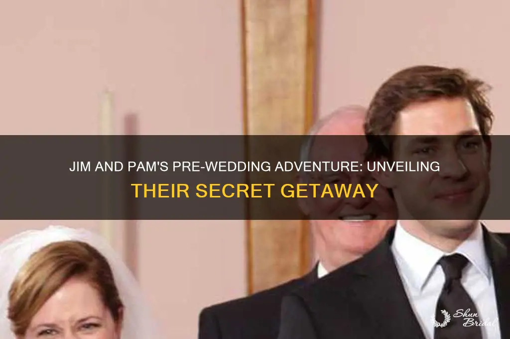 where did jim and pam go before the wedding