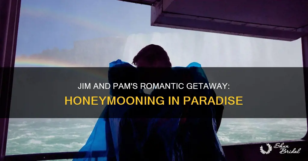 where did jim and pam have their honeymoon