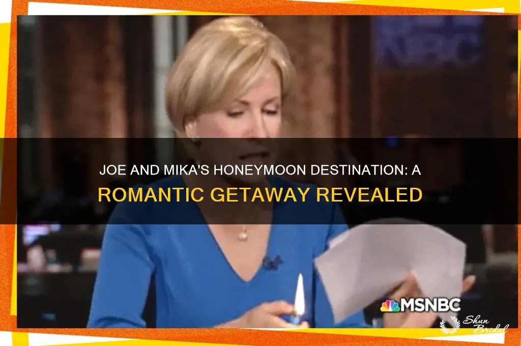 where did joe and mika go on their honeymoon