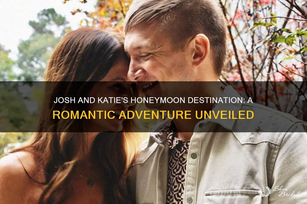 where did josh and katie go for their honeymoon