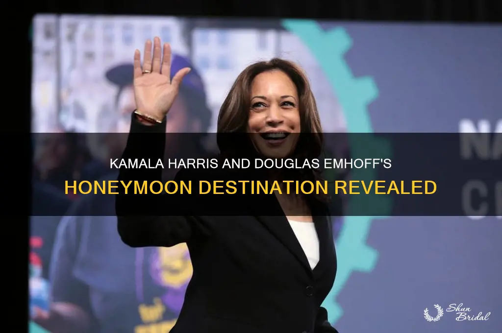 where did kamala harris and douglas craig emhoff honeymoon