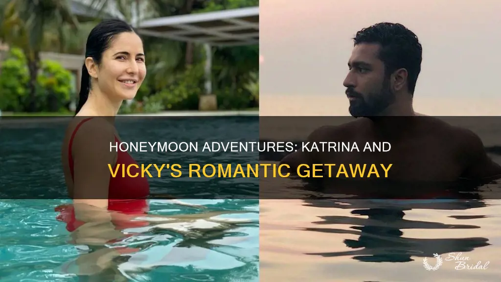 where did katrina and vicky go for honeymoon