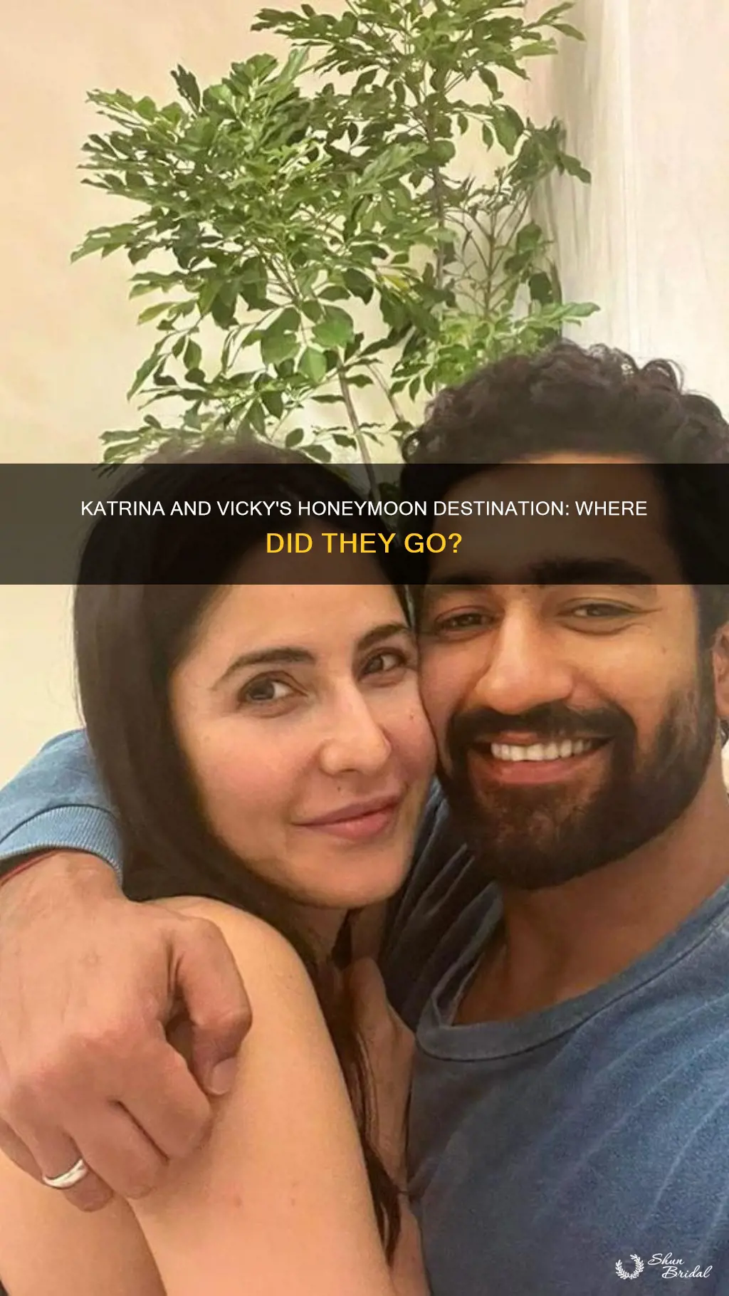 where did katrina and vicky go for honeymoon