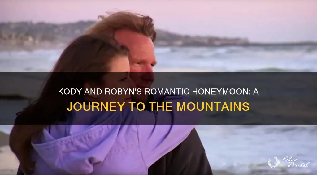 where did kody and robyn go on their honeymoon