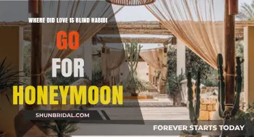 Love is Blind Habibi Honeymoon Destination: Where Did They Go?