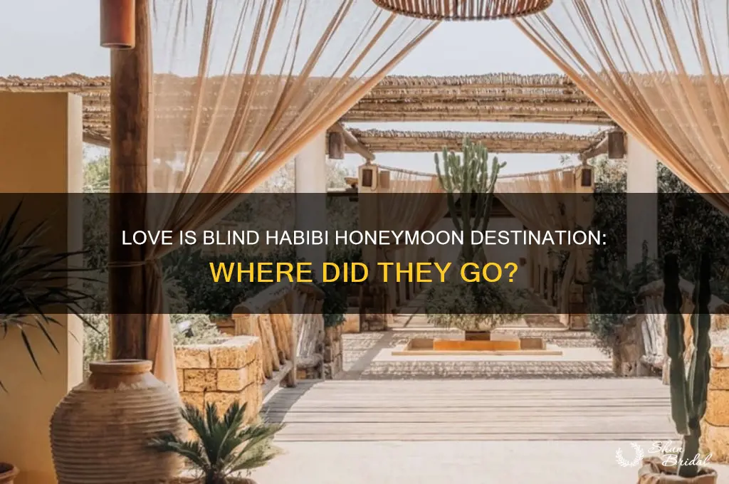 where did love is blind habibi go for honeymoon