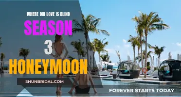 Love is Blind Season 3: Honeymoon Destinations Revealed!