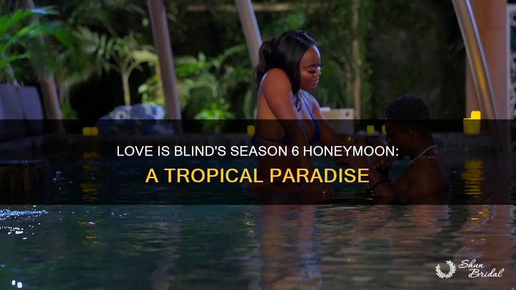 where did love is blind season 6 honeymoon