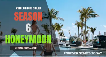 Love is Blind: Honeymoon Destinations Revealed