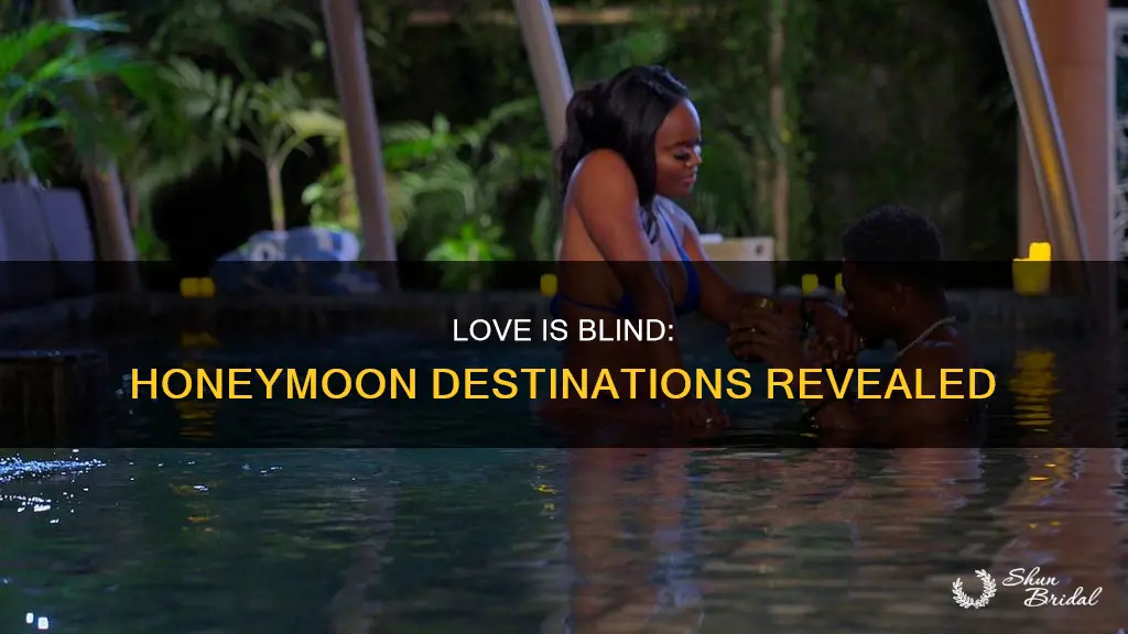 where did love is blind season 6 honeymoon