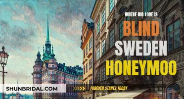 Love Is Blind's Swedish Honeymoon: A Romantic Getaway Unveiled