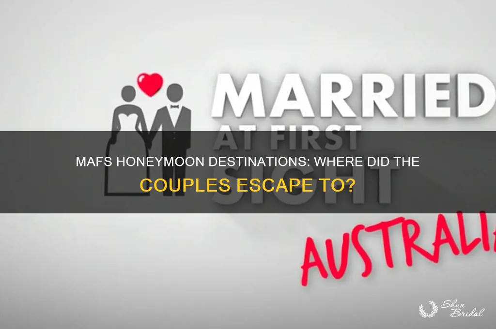 where did mafs go on their honeymoon