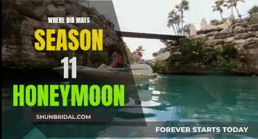 Honeymoon Destinations of MAFS Season 11 Couples