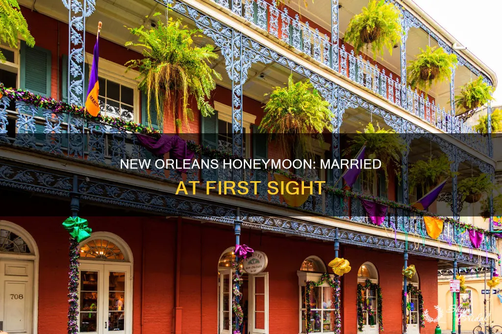 where did married at first sight new orleans honeymoon