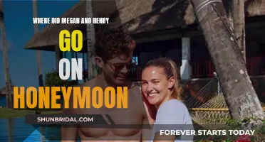 Megan and Henry's Honeymoons: A Journey to the Unknown