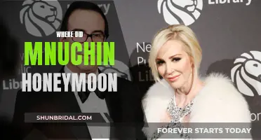 Mnuchin's Honeymoon: A Journey to the Unknown