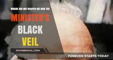 The Minister's Black Veil: Unraveling Mr. Hooper's Mysterious Death