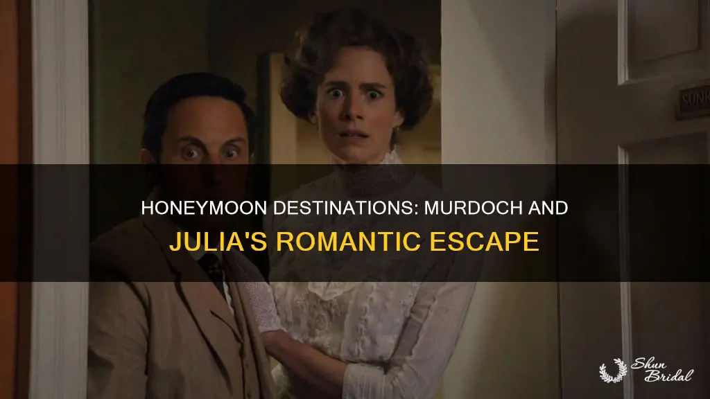 where did murdoch and julia go on their honeymoon