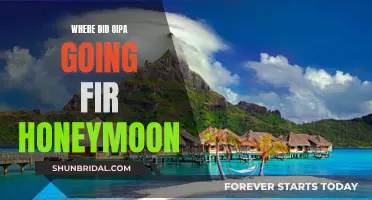 OIPA's Honeymoons: Exploring Paradise Destinations Around the World