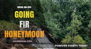 Where Did Oipa Go for Their Dream Honeymoon Destination?