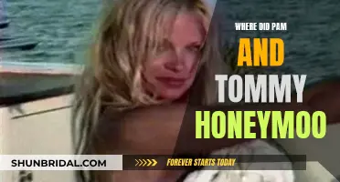 Pam and Tommy's Honeymoons: A Journey Around the World