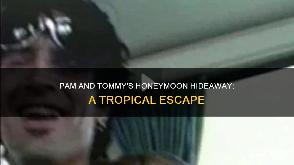 where did pam and tommy honeymoon