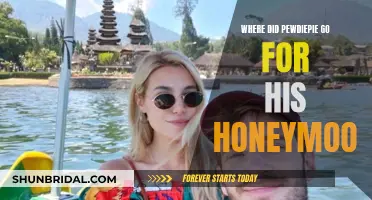 PewDiePie's Honeymoon: A Tropical Escape to Paradise