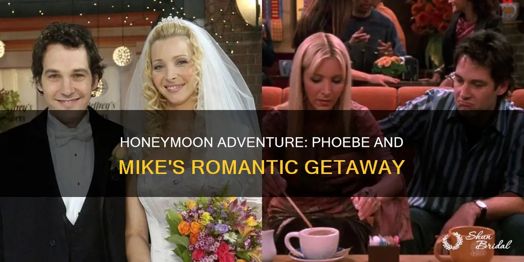 where did phoebe and mike go on their honeymoon