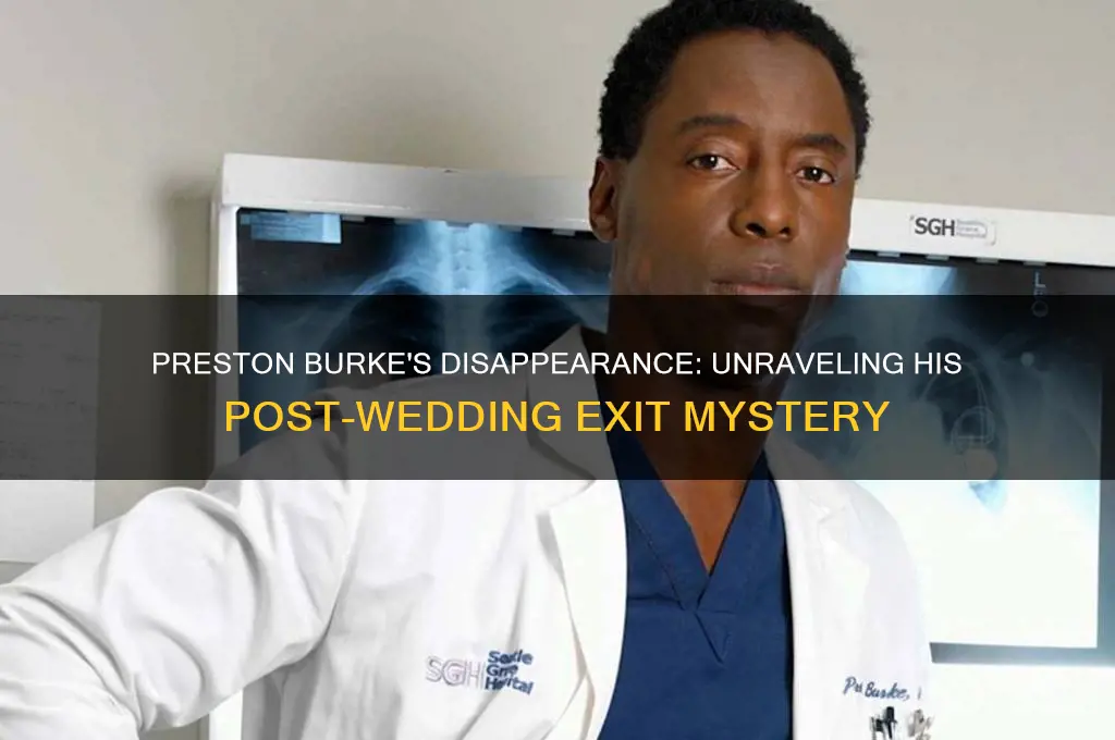 where did preston burke go after the wedding